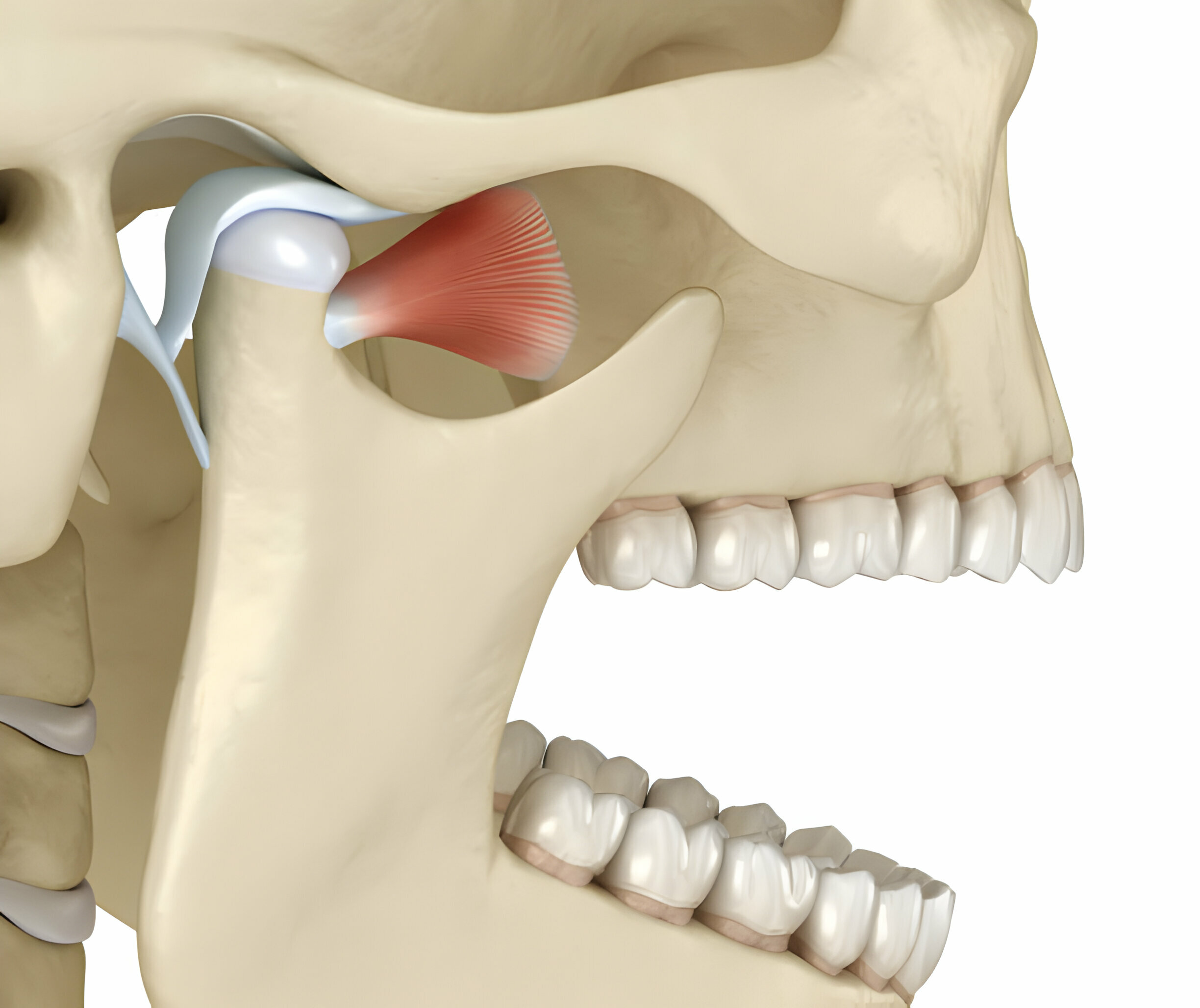 The Comprehensive Treatment Plan To Cure TMJ in Dentistry_3